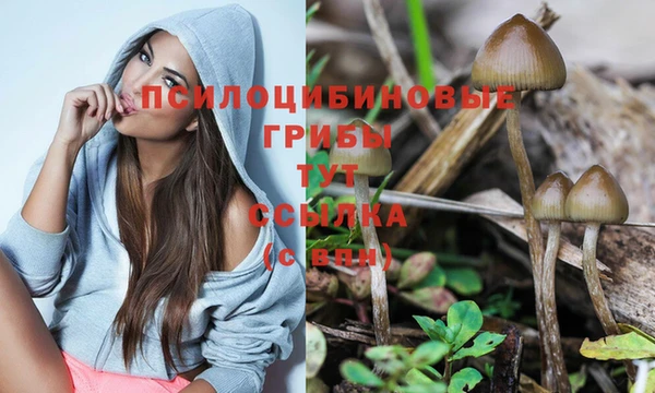 спайс Лабытнанги